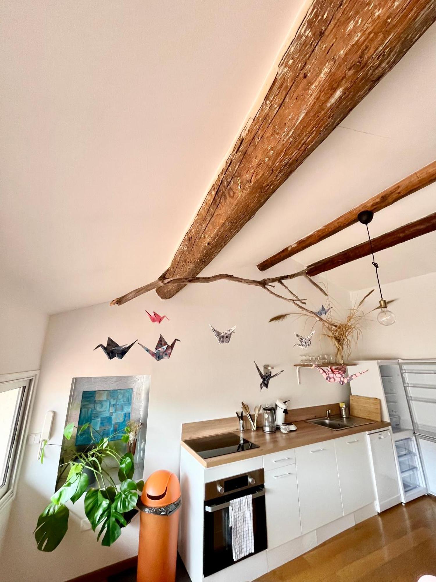 A Spacious, Sunny & Calm Loft In Avignon'S Heart Esterno foto